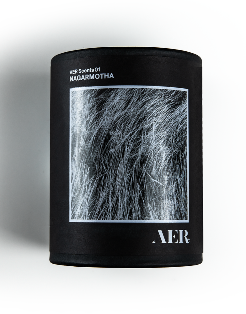 AER 01 Nagarmotha