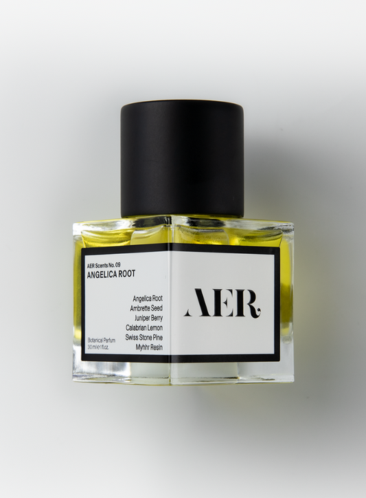 AER 09: Angelica Root