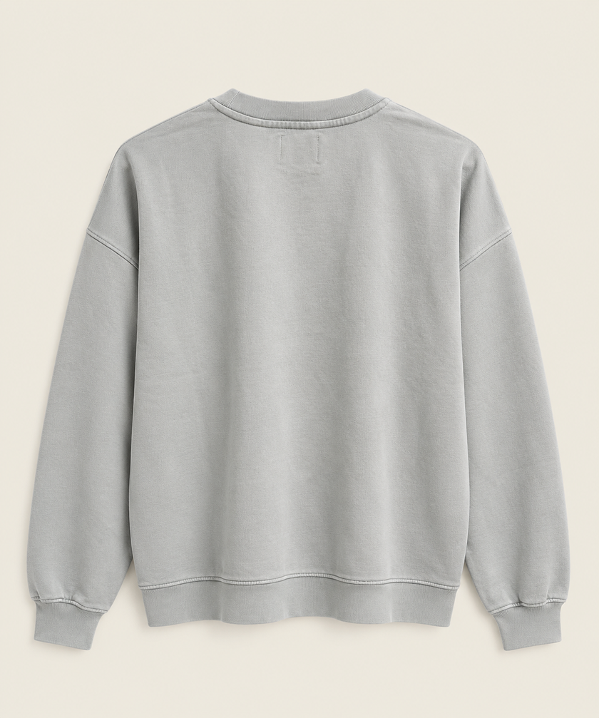 ORGANIC OVERSIZED CREW NECK - COLORFUL STANDARD