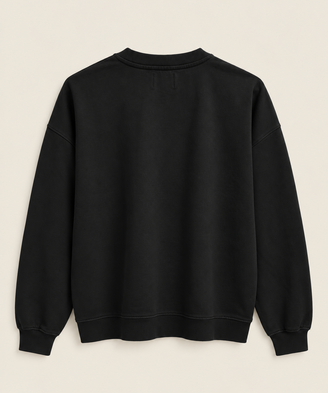 ORGANIC OVERSIZED CREW NECK - COLORFUL STANDARD